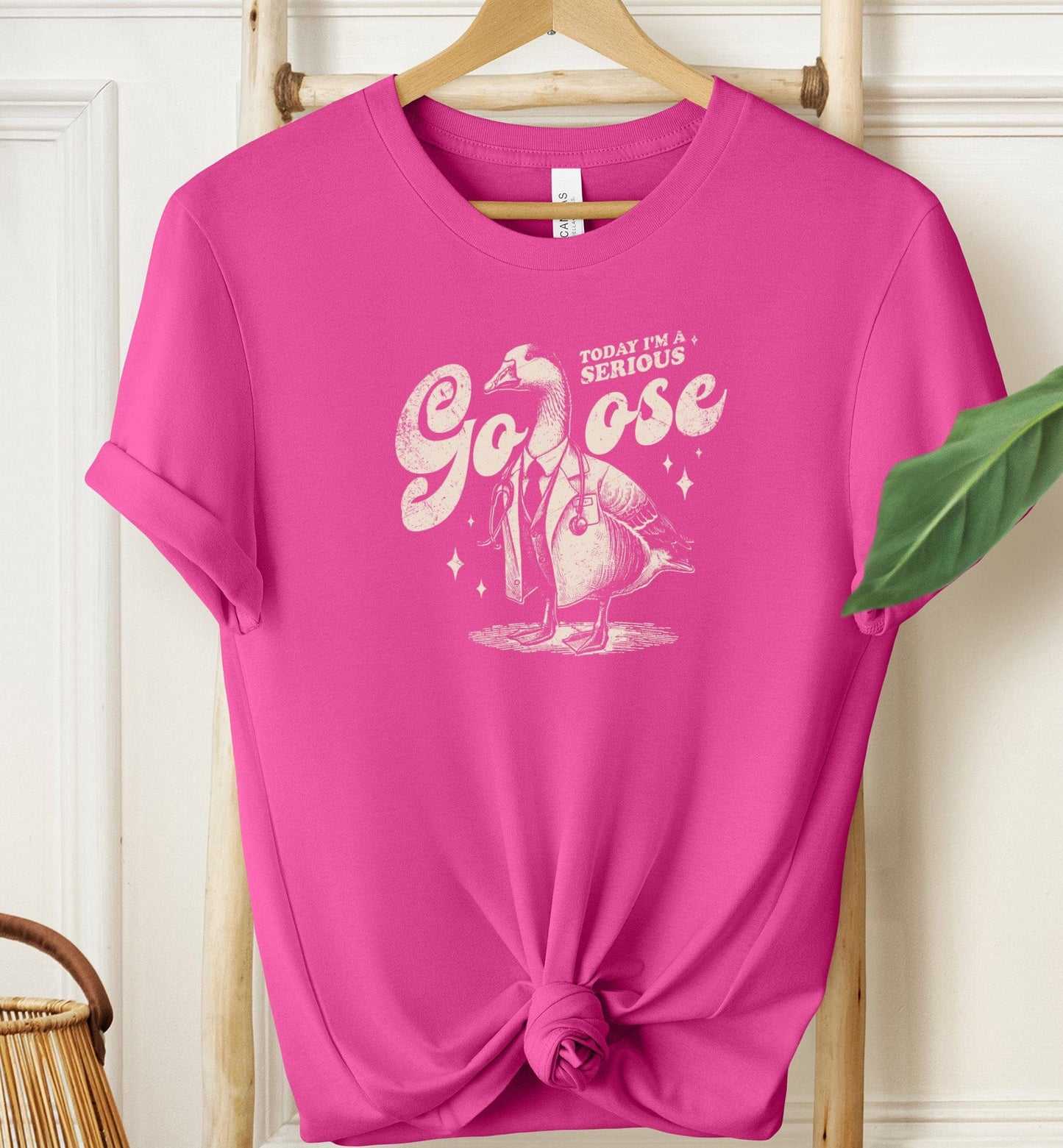 Today I'm a Serious Goose Doctor T-shirt