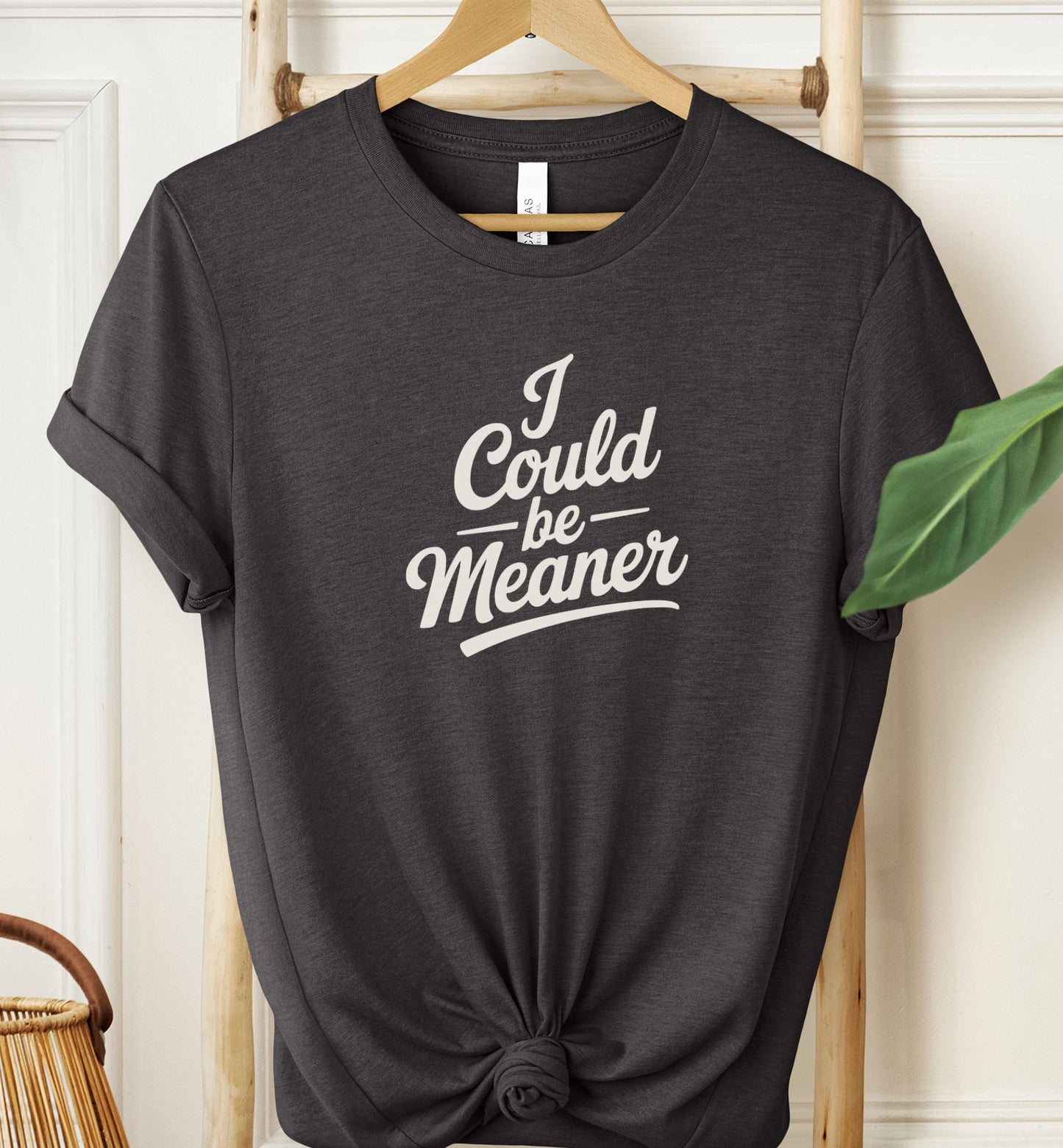I Could Be Meaner T-shirt