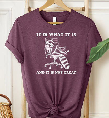 It Is What It Is T-shirt