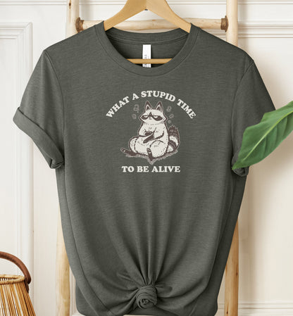 What A Stupid Time T-shirt