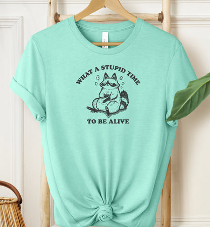 What A Stupid Time T-shirt