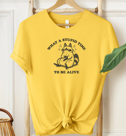 What A Stupid Time T-shirt