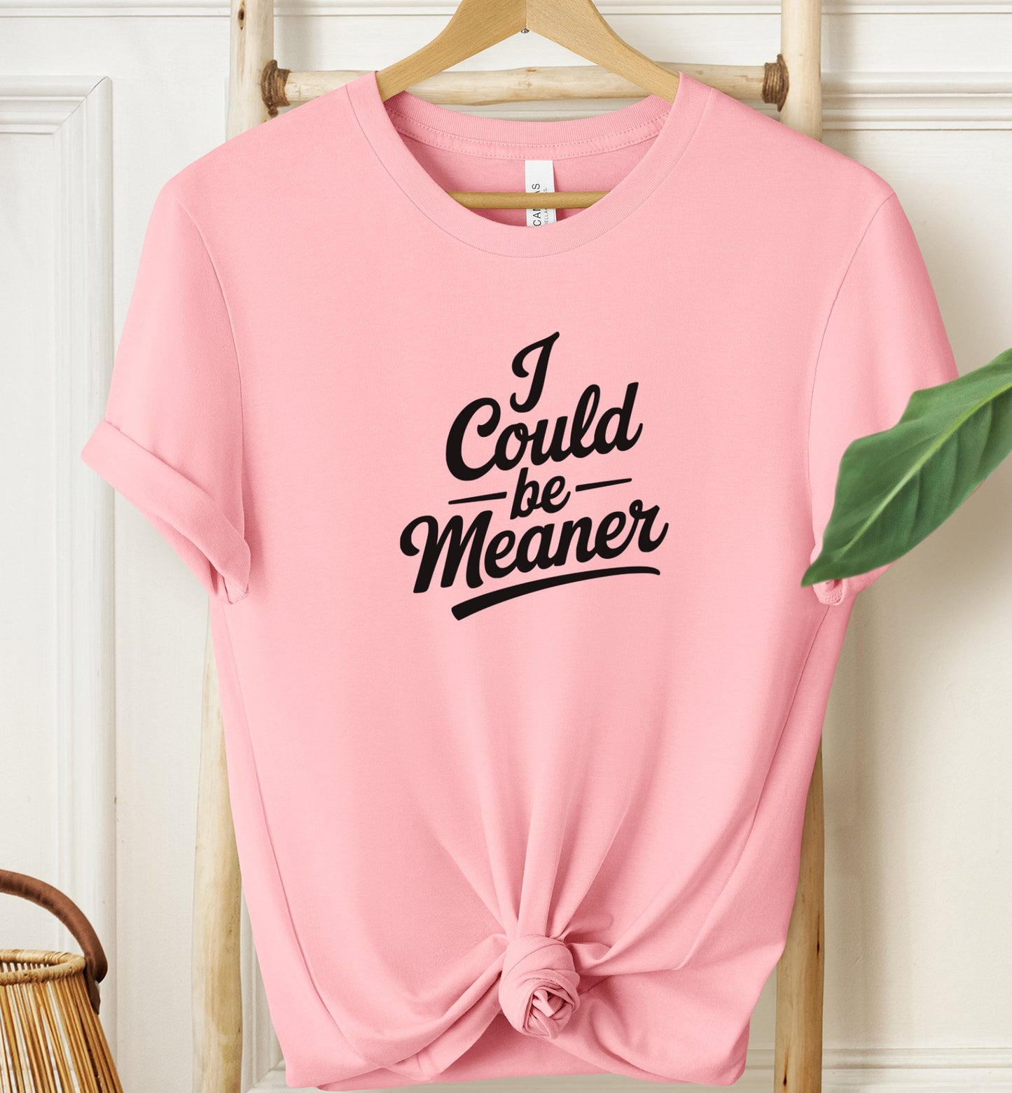 I Could Be Meaner T-shirt