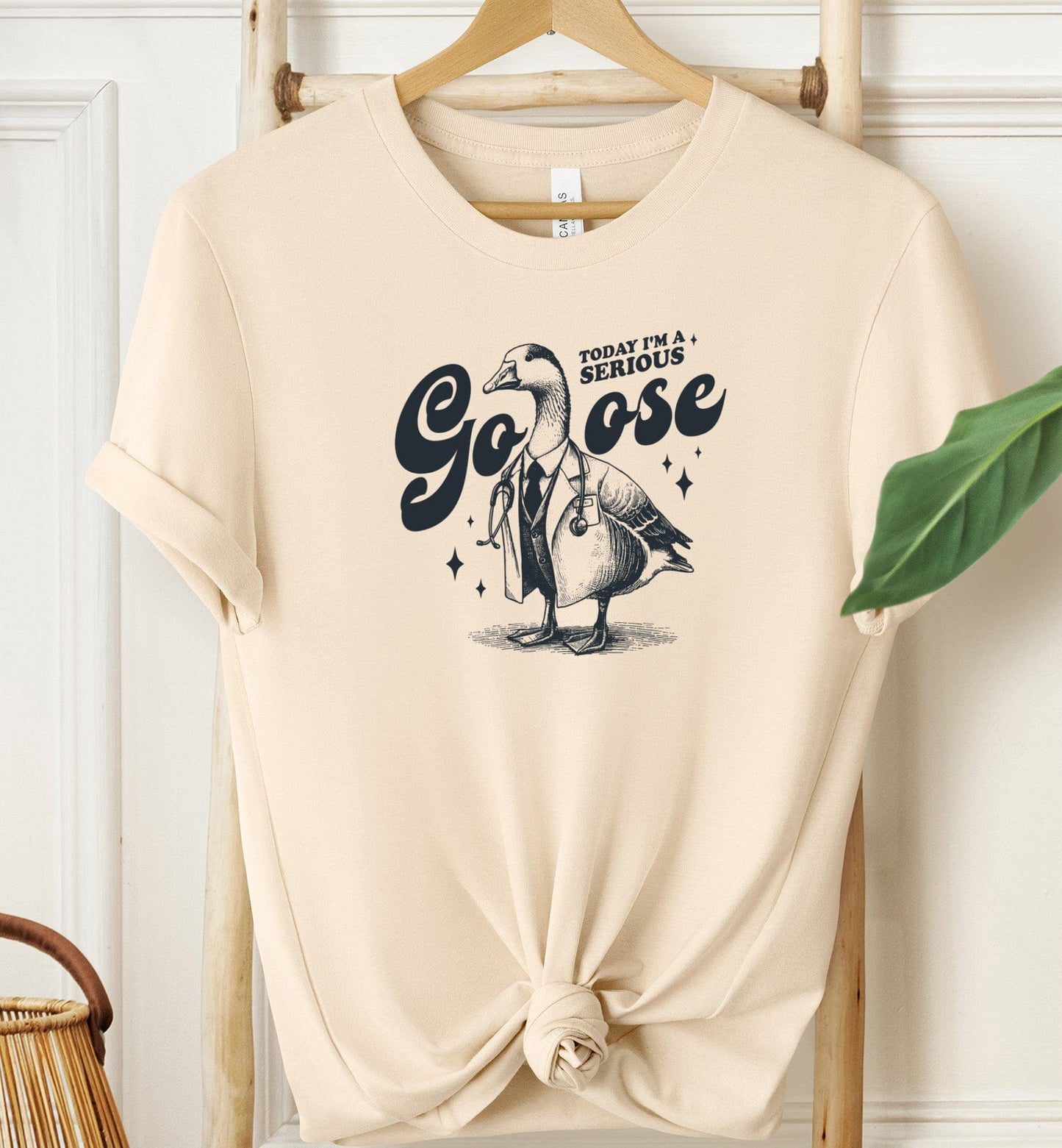 Today I'm a Serious Goose Doctor T-shirt