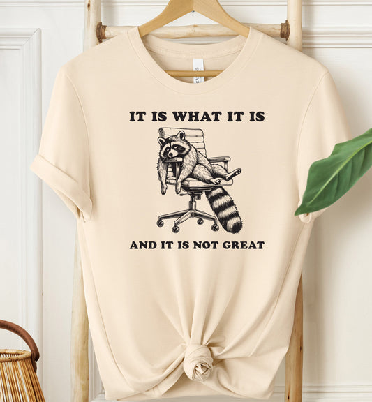 It Is What It Is T-shirt