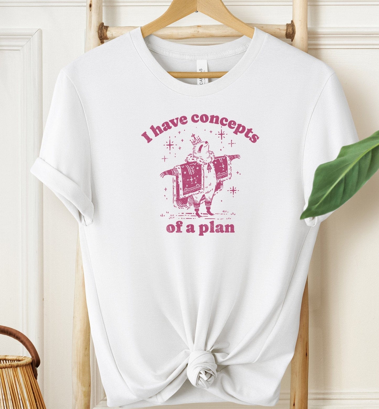 I Have Concepts of a Plan T-shirt