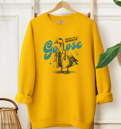 Serious Goose Doctor Sweatshirt