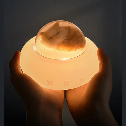 Cosmic Pet Night Light