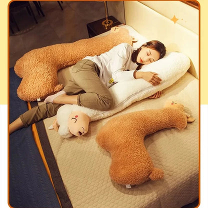 Fluffy Paco the Alpaca