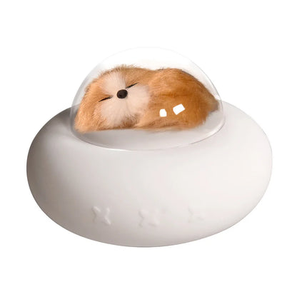 Cosmic Pet Night Light