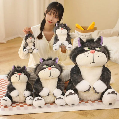 Mochi the Mischievous Cat