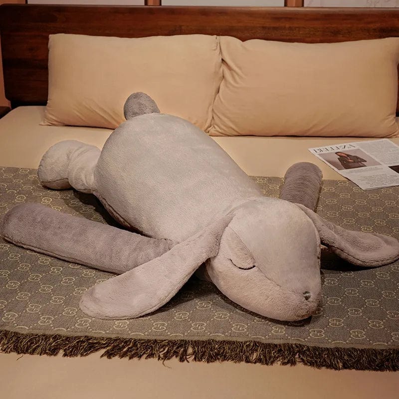 50634607296838|50634607329606